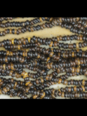 20 natural seed beads strands ("kekeore")