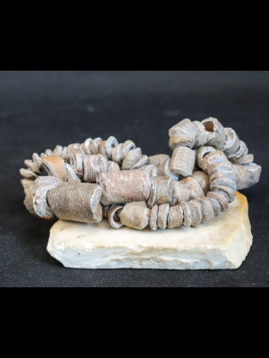 Strand of fossilized crinoid beads (Mali)