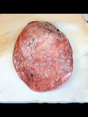 Antique (or ancient?) shell bead