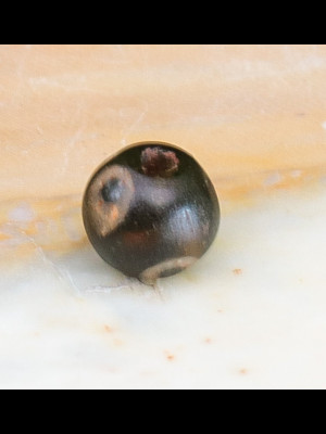 Ancient Islamic glass bead