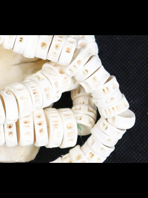 Strand of 212 fish bone beads