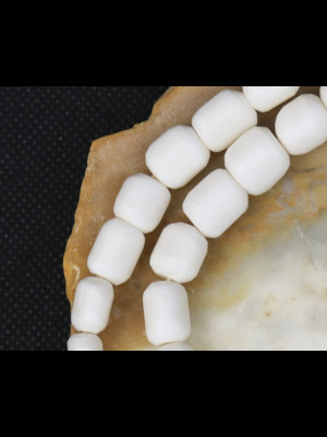 Strand of 50 bone beads