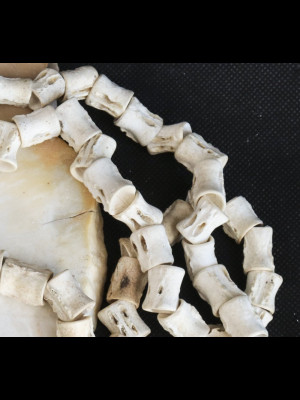 Strand of 101 fish bone beads