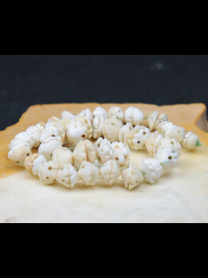 74 antique worked shell beads