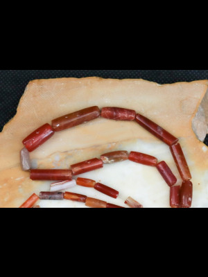 Strand of 38 carnelian beads