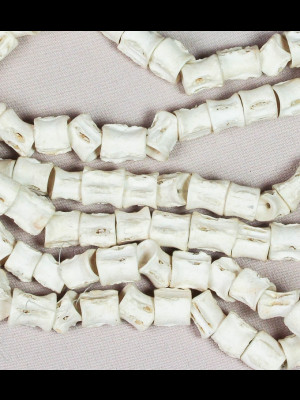 115 fish bone beads