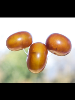 3 African amber beads (phenolic resin)