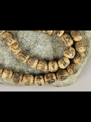 29 raffia palm seeds