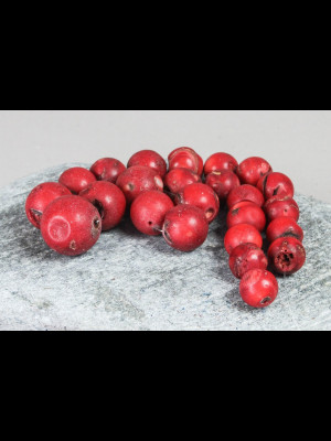 24 antique glass beads with red coral look
