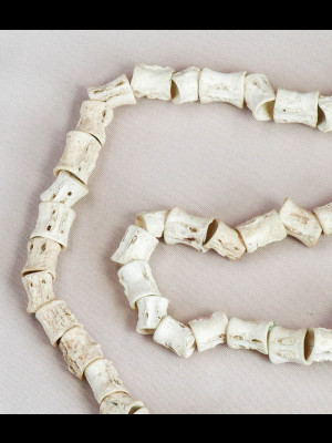 74 fish bone beads