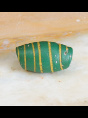 Venetian trade bead