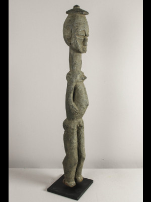 Lobi colon figure
