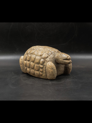 Dogon turtle (Mali)